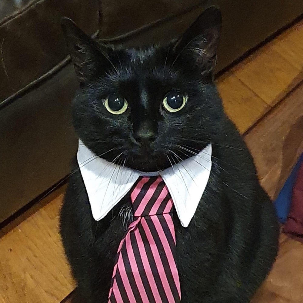 Meet your Posher, Katherine